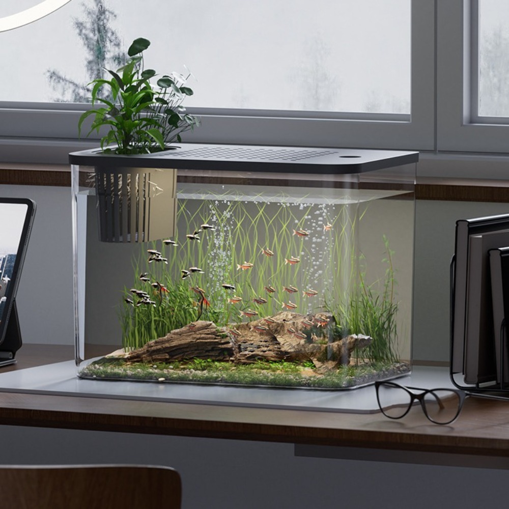 PET+ABS Fish Tank Transparent  - Aquarium Fish For Sale บทวิจารณ์และราคา