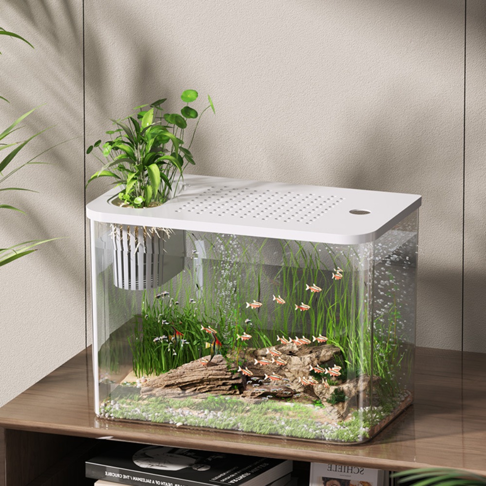 PET+ABS Fish Tank Transparent  - Aquarium Fish For Sale บทวิจารณ์และราคา