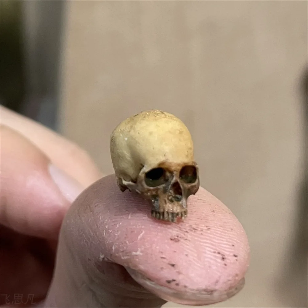 Mini Skull High Quality Miniat - Aquarium Fish Names บทวิจารณ์และราคา