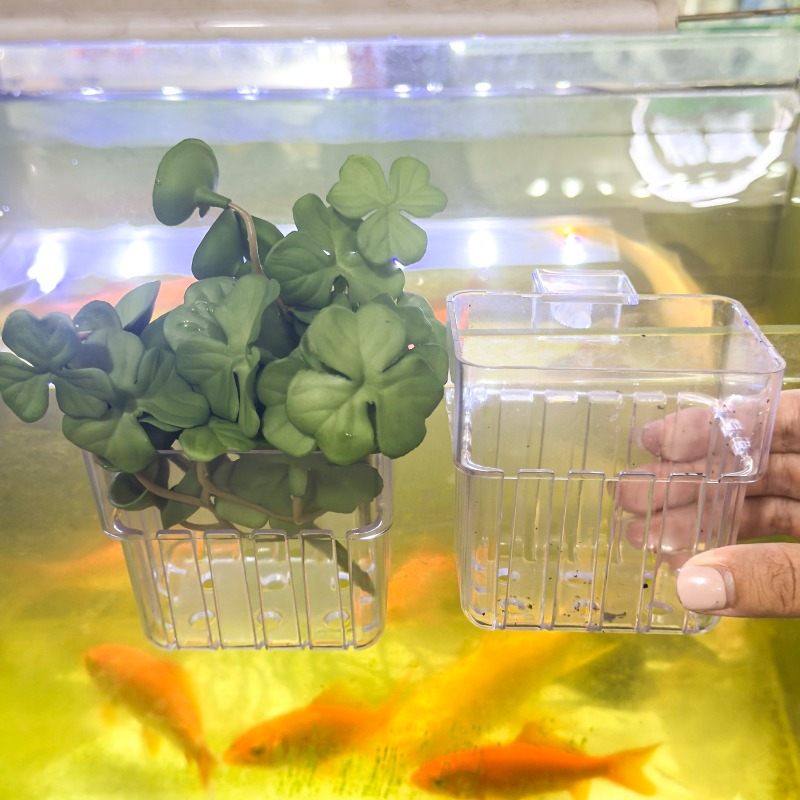1/5pcs Aquarium Decoration Pla - Aquarium Fish Saltwater บทวิจารณ์และราคา