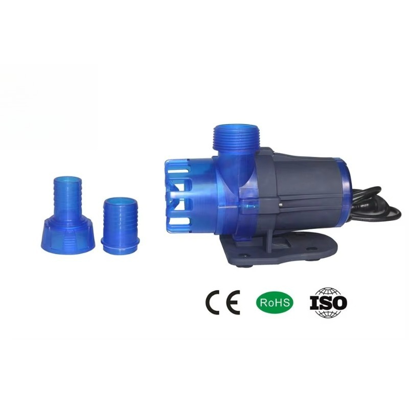 Hot Sale Extra Quiet Seawater  - Aquarium Fish For Sale บทวิจารณ์และราคา