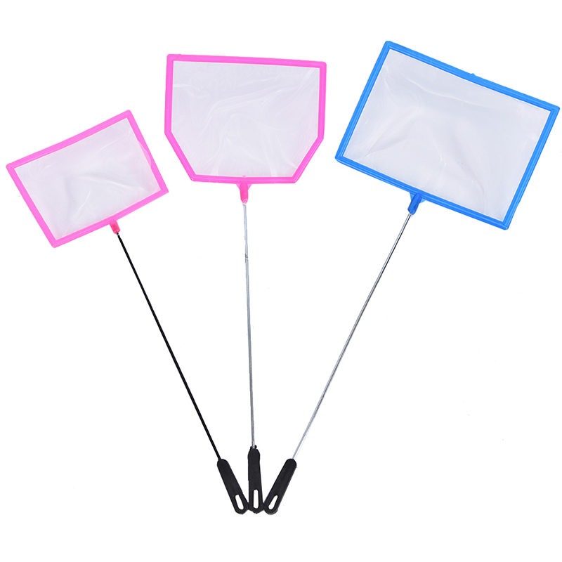 New Sale Practical Outdoor Fis - Aquarium Fish For Sale บทวิจารณ์และราคา