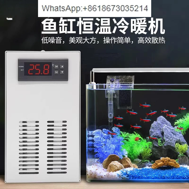 sales Ligong household fish ta - Aquarium Fish For Sale บทวิจารณ์และราคา