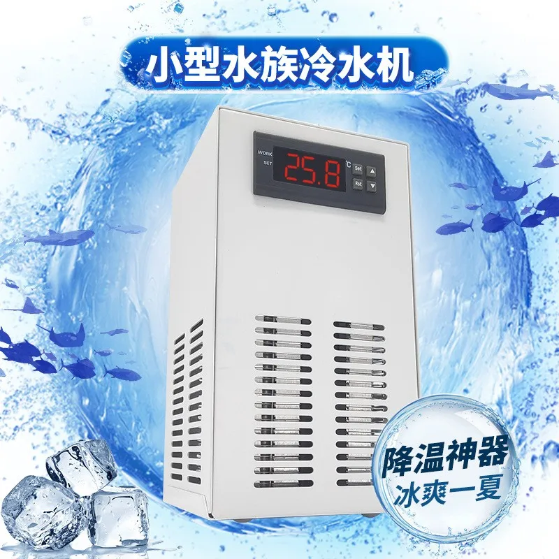 sales Ligong household fish ta - Aquarium Fish For Sale บทวิจารณ์และราคา