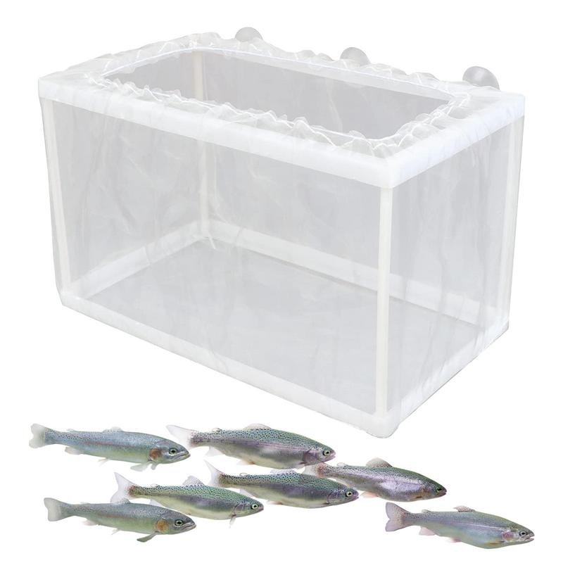 Fish Breeder Box with Suction, - Aquarium Fish For Sale บทวิจารณ์และราคา