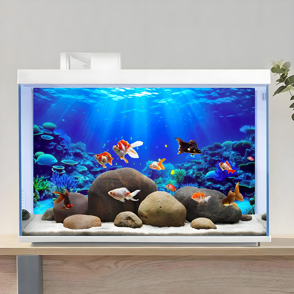 Coral Paradise，Fish tank backg - Aquarium Fish Paradise บทวิจารณ์และราคา