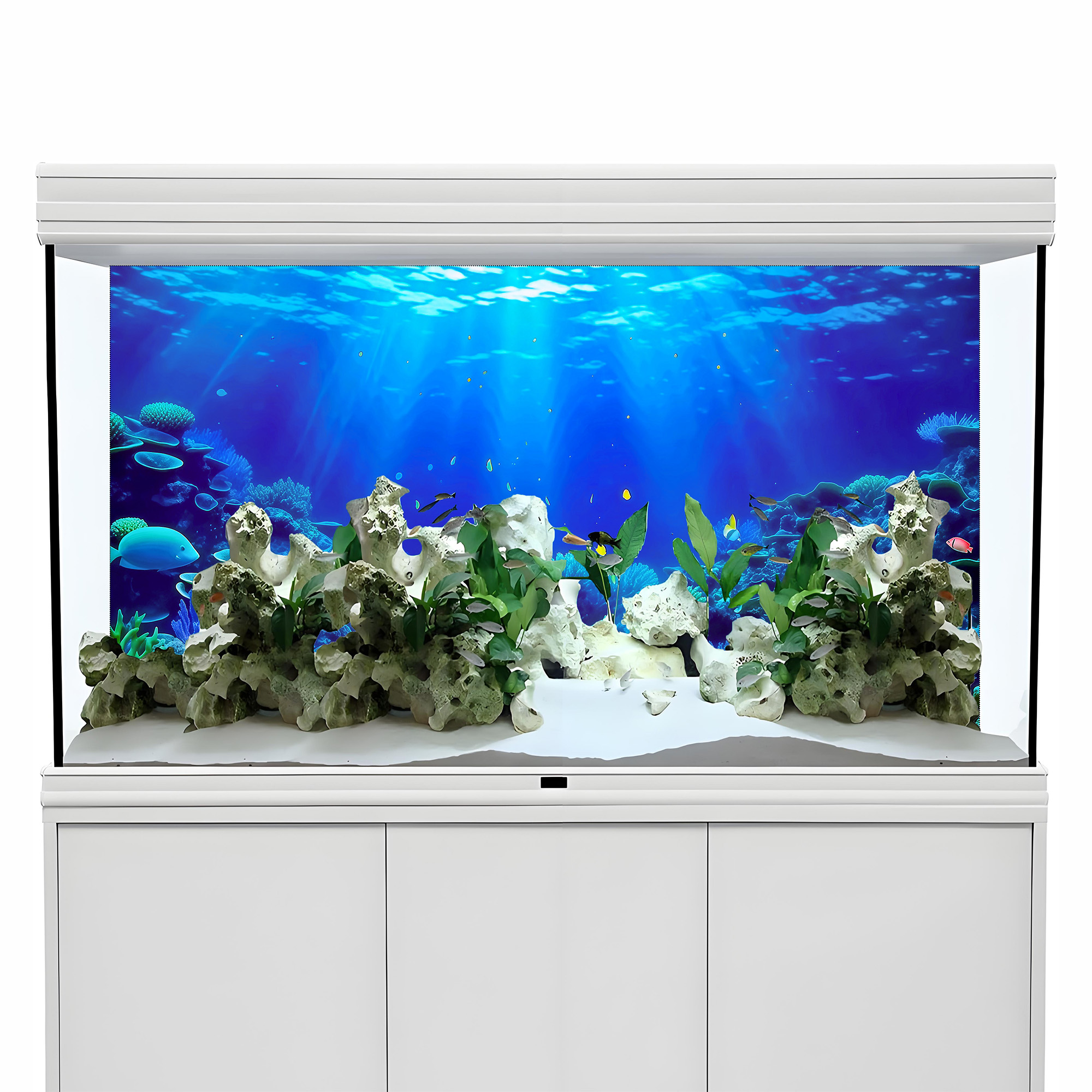 Coral Paradise，Fish tank backg - Aquarium Fish Paradise บทวิจารณ์และราคา