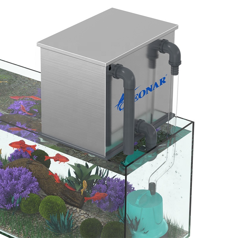 Factory Direct Sales Aquarium  - Aquarium Fish For Sale บทวิจารณ์และราคา