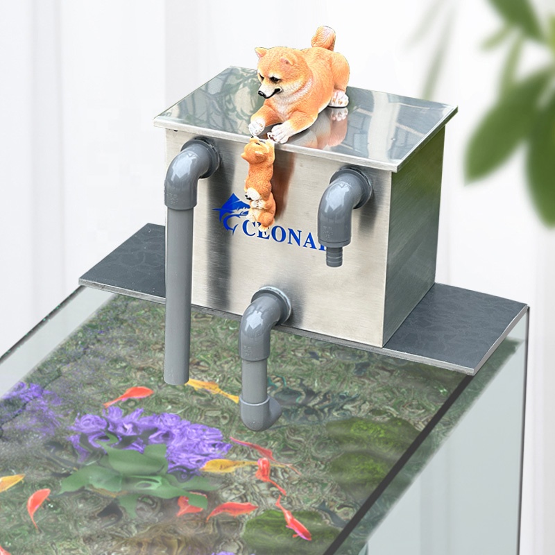 Factory Direct Sales Aquarium  - Aquarium Fish For Sale บทวิจารณ์และราคา