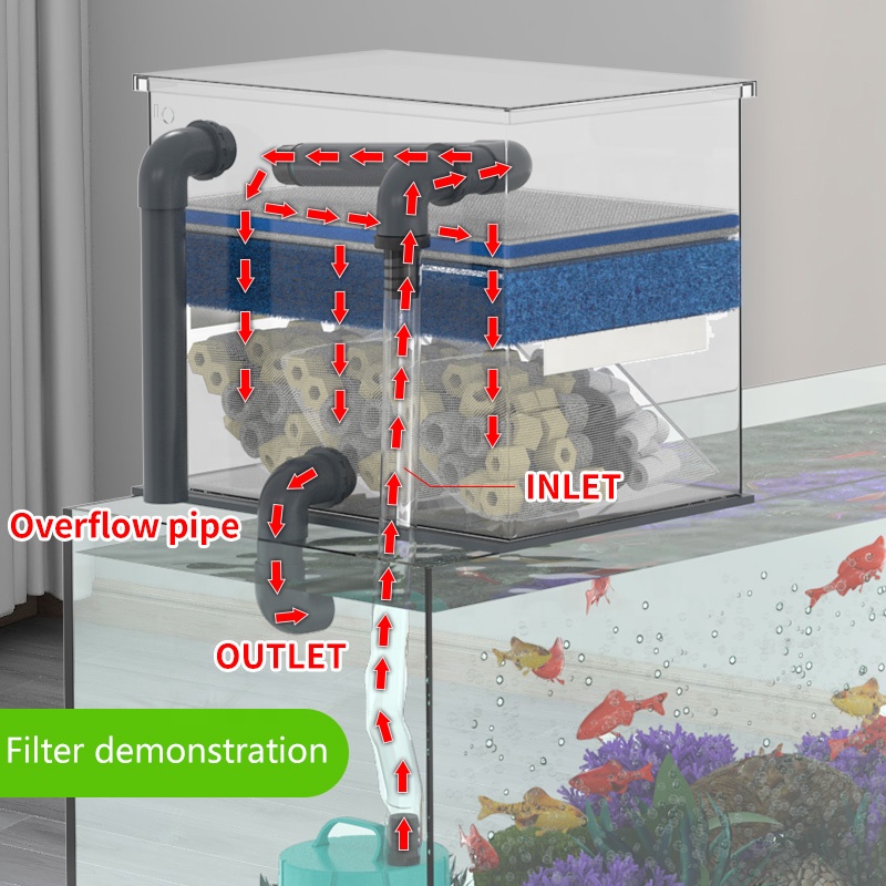Factory Direct Sales Aquarium  - Aquarium Fish For Sale บทวิจารณ์และราคา