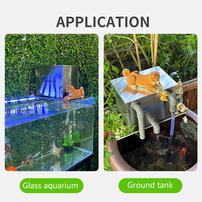 Factory Direct Sales Aquarium  - Aquarium Fish For Sale บทวิจารณ์และราคา