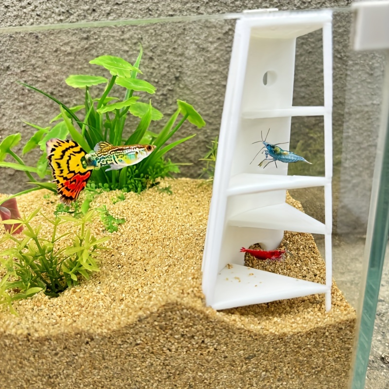 Aquarium Small Fish and Shrimp - Aquarium Fish Paradise บทวิจารณ์และราคา